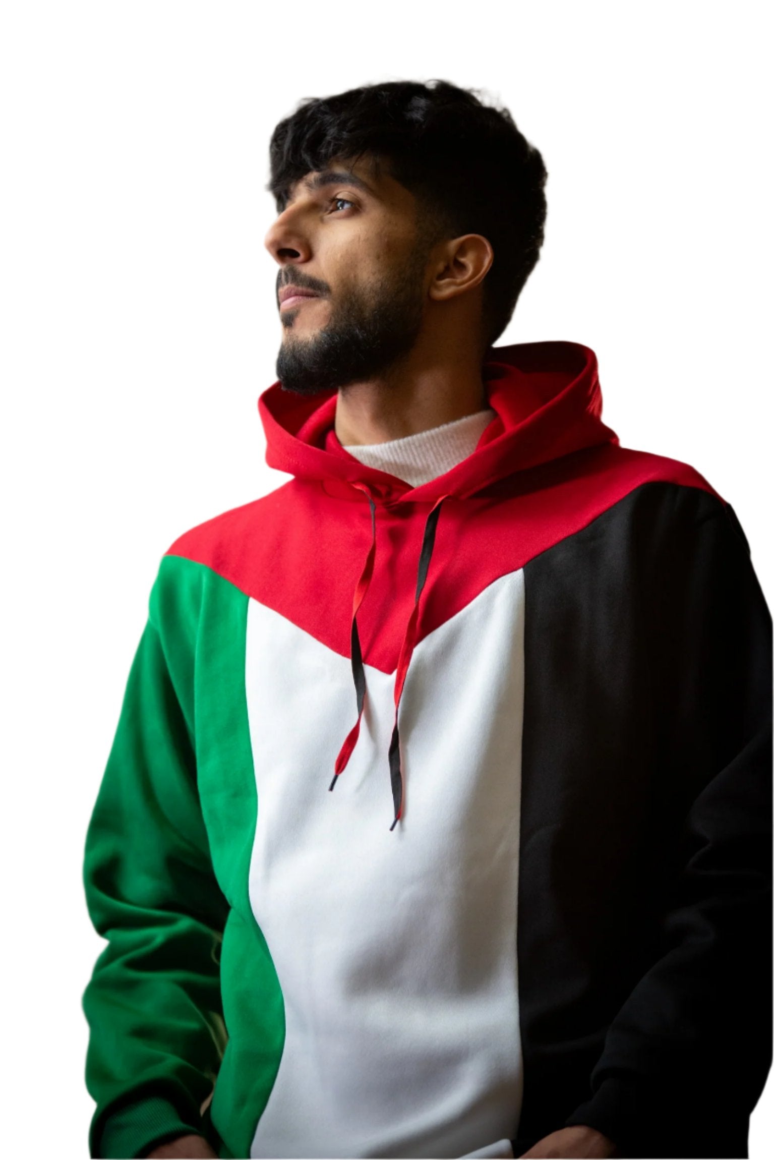 Palestine Flag Designed Hoodie with Red Kuffiyeh Sleeves