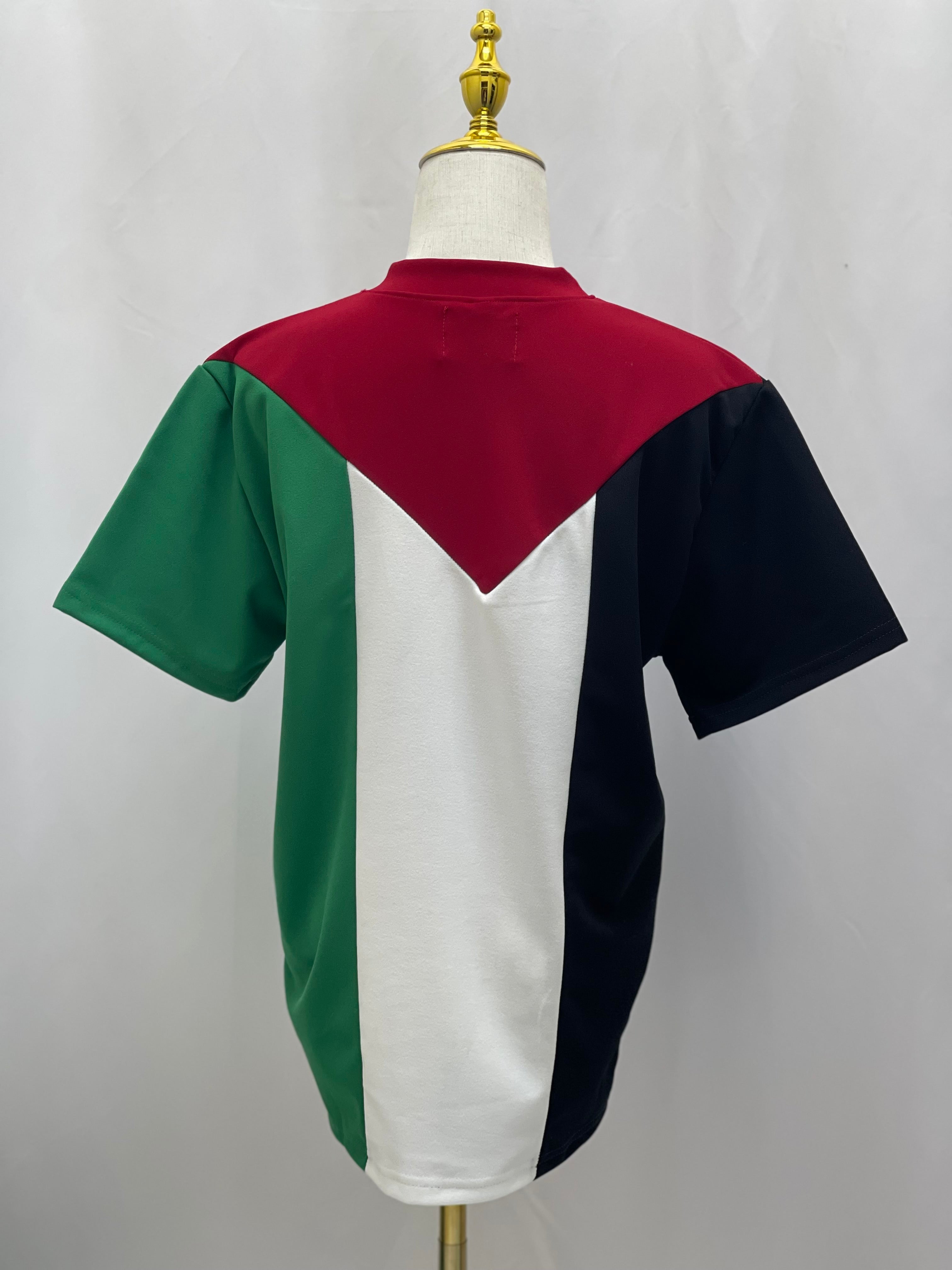 High-Quality Palestine Flag Shirt: Wear Your Pride